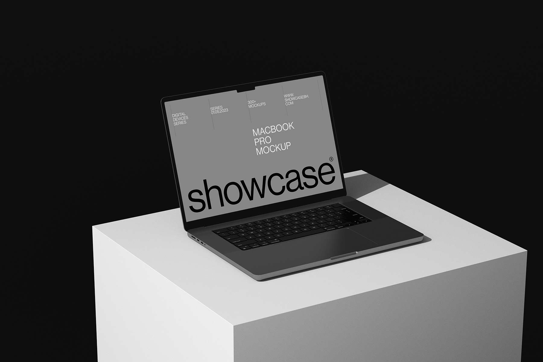 365D01_MacBook Pro Mockup