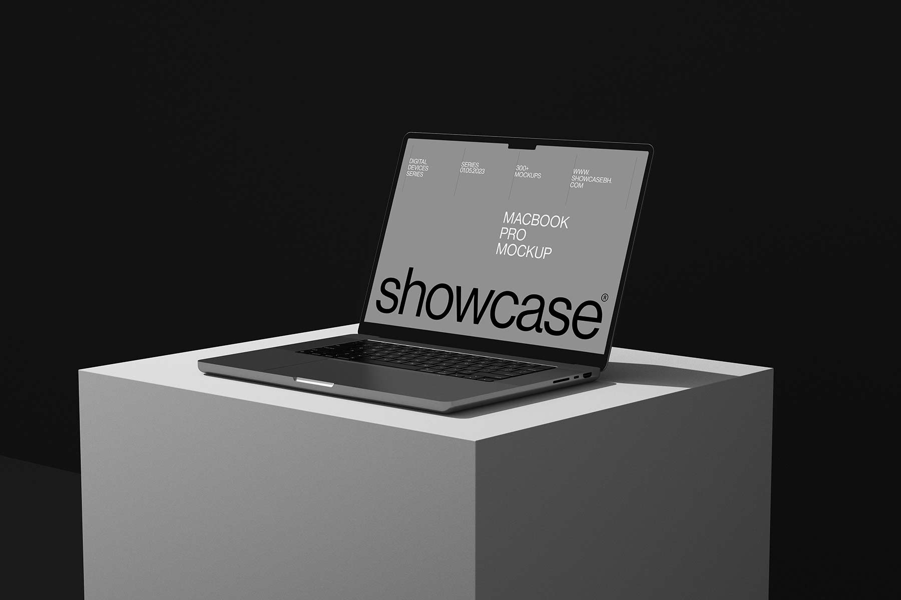 365D03_MacBook Pro Mockup