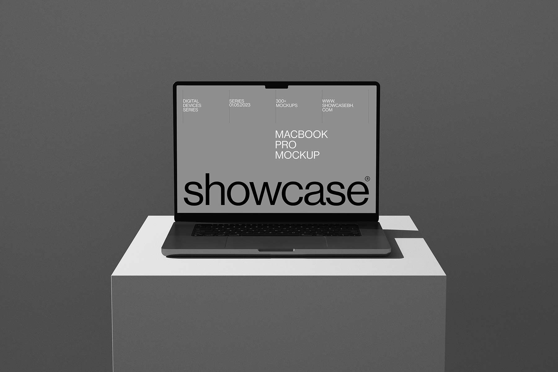 365D05_MacBook Pro Mockup