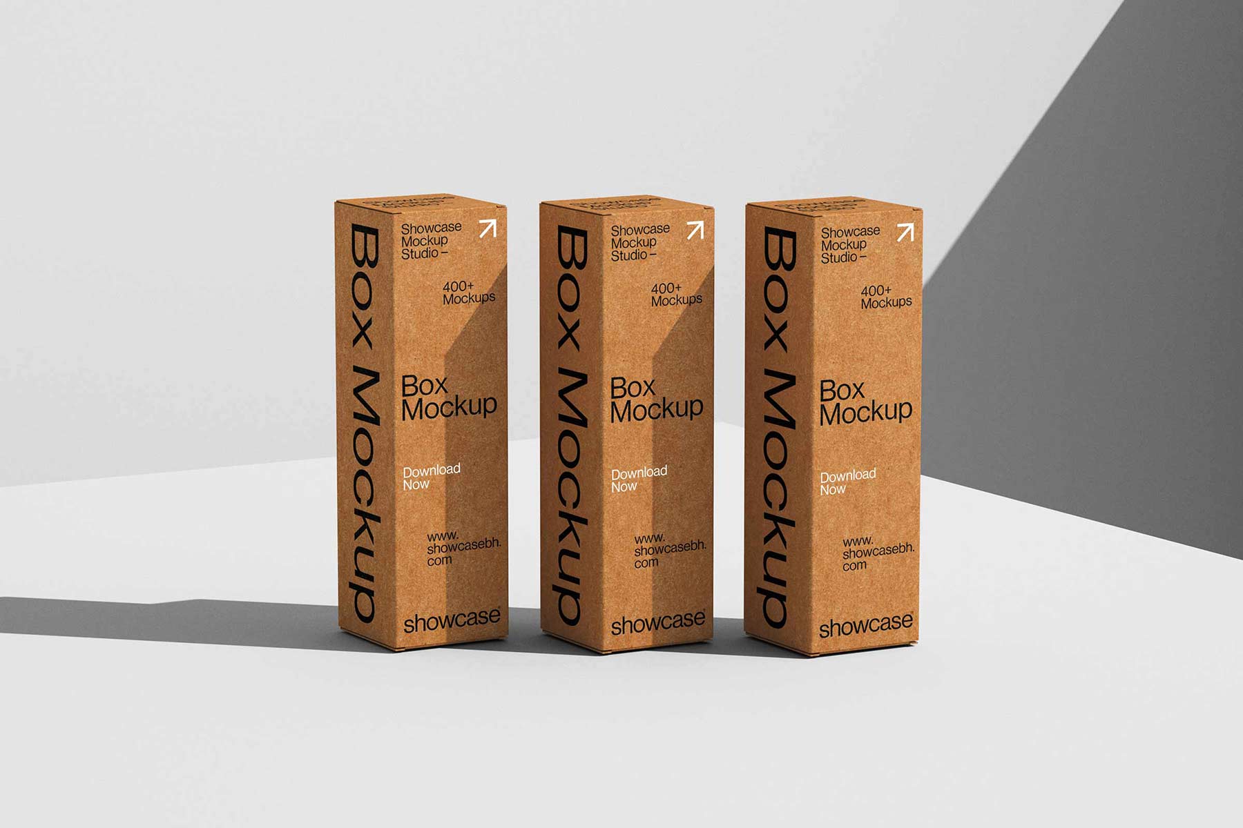 BP07_Box Packaging Mockup