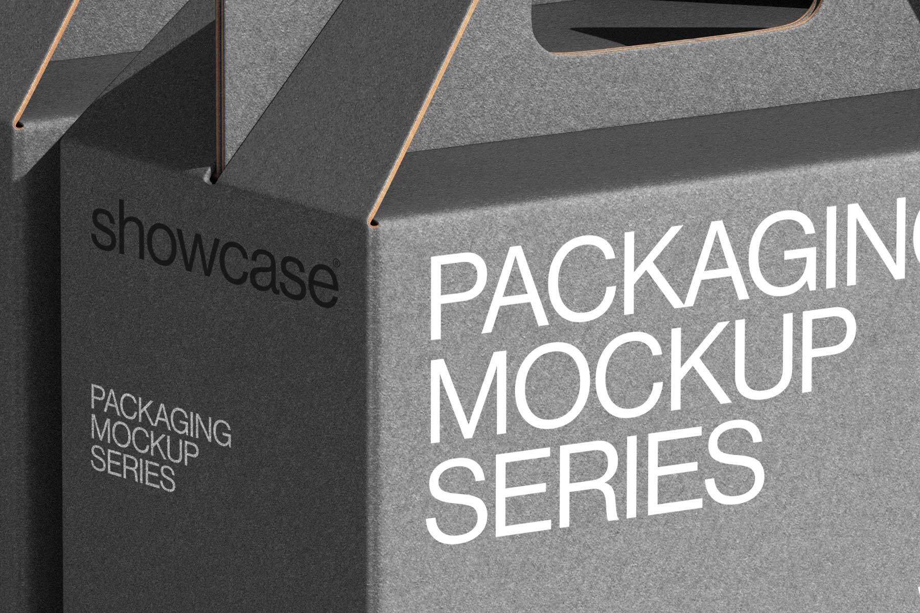 CG01_Packaging Mockup