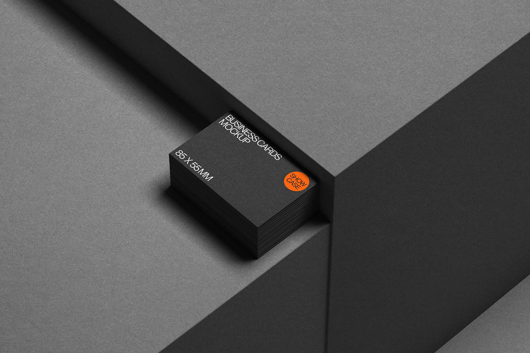 SL01_Business Card Mockup