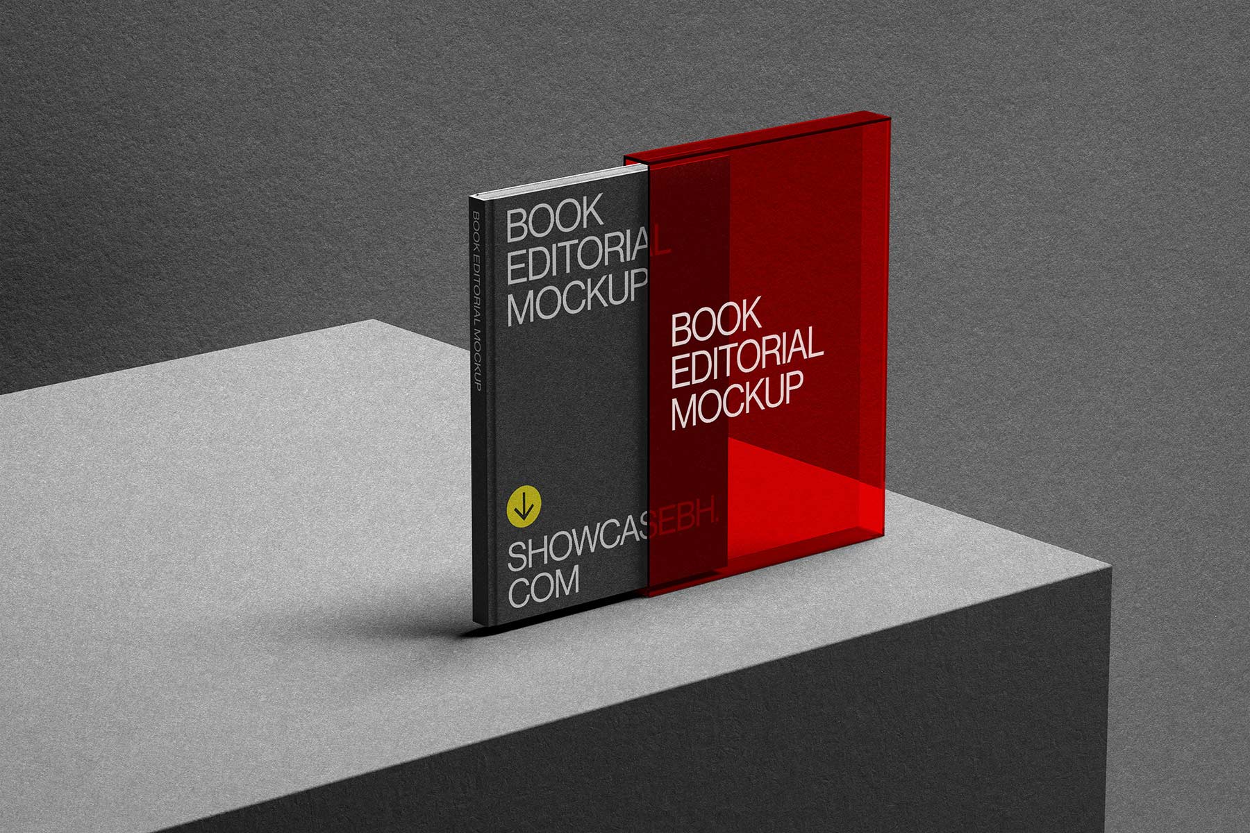 SL02_Book Editorial Mockup