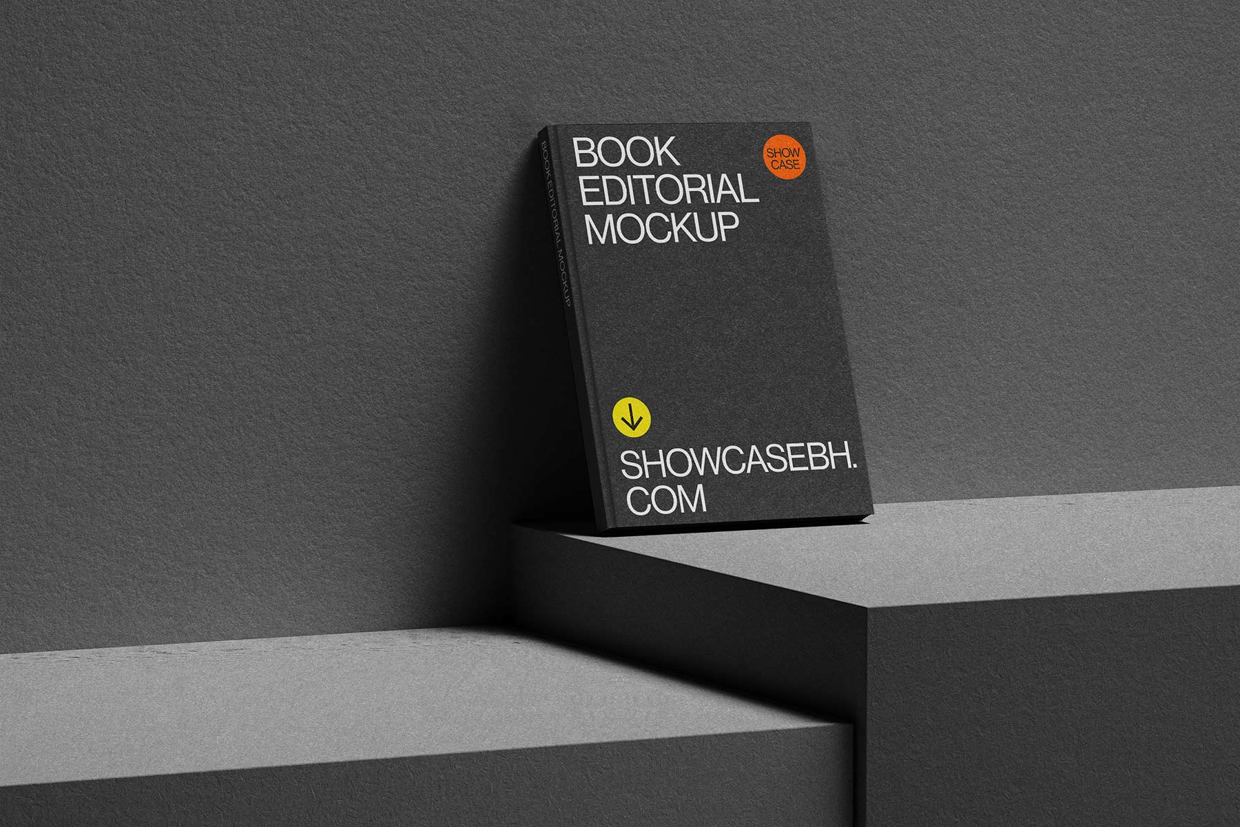 SL08_Book Editorial Mockup