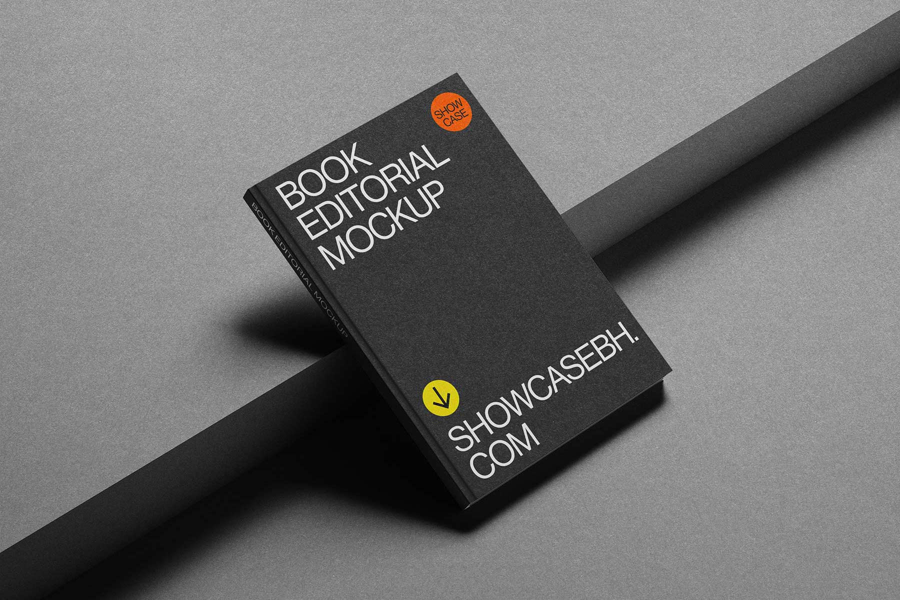 SL10_Book Editorial Mockup